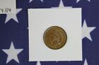 1905 Indian Head Cent  - Uncirculated Brown Condition UNC - reduced (Y184)