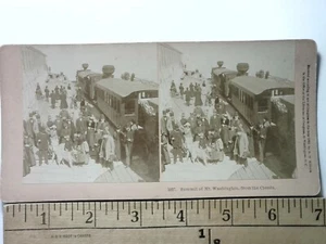 Redford il cane a Mt. Stazione ferroviaria di Washington Stereoview antica c1891 Y18324 - Foto 1 di 2