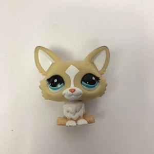 Littlest Pet Shop (LPS) Generation 7 Corgi Figur Pet #012 aus Serie 1 Hund - Bild 1 von 3