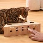 Indoor Cat Hamster Toy 5 Holes Claw Sharpener Toy Scratching Box Tease Cat