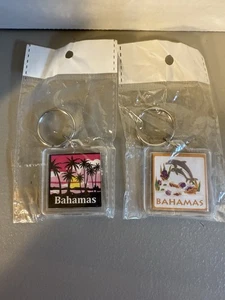 Menge 2 - "Bahamas" Acryl Quadrat Schlüsselanhänger - Delfine & Palmen - Bild 1 von 9