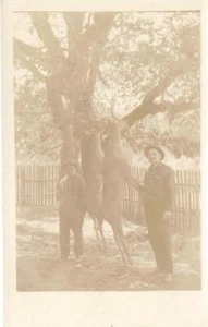 RPPC Hunting Photo Deer Hunters Siskiyou County, CA c1910s Vintage Postcard - Picture 1 of 2