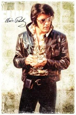 STUDIO B Elvis Presley Cool Art Print Poster 24x36