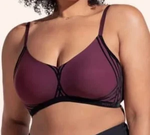 NEU Honeylove Silhouette Liftwear BH ohne Bügel weinrot Größe 3X - Bild 1 von 8