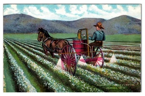 ELMIRA, NEW YORK - FIELD FORCE PUMP CO -OLD ADVERTISING POSTCARD - Picture 1 of 2
