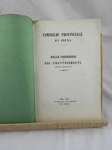 Antico libro Consiglio Provinciale Siena 1865 spedali tip. Lazzeri originale - Picture 1 of 4