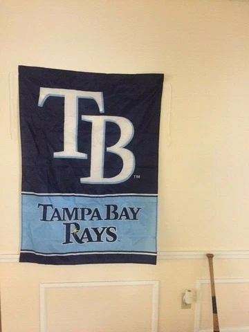 Tampa Bay Rays Indoor/Outdoor Fan Flag 36" x 47" MLB Brand New Cover