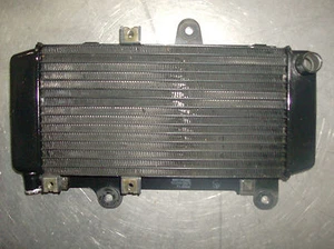RADIATORE YAMAHA XTZ 660 1993 - Picture 1 of 1