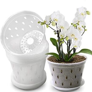 Lanccona Orchid Pot, 7 Inch 8 Pack Orchid Pots with Holes and Saucers, Clear ...