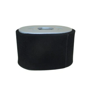Filtro de aire de repuesto para limpiador 799818 Ca 25T232-0007-F1 - Imagen 1 de 8