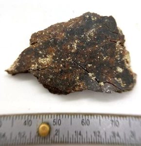 Fetta di meteorite Finney - condrite L5 - 12,93 grammi - Texas - Foto 1 di 4