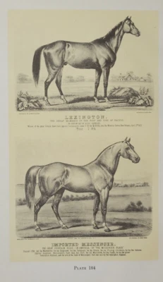 Lexington The Great Monarch Imported Messenger RACING HORSE Currier & Ives Print - Image 1 of 2