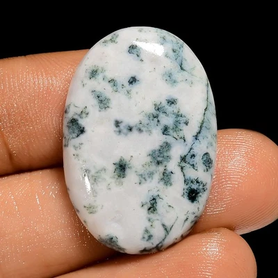 100% Natural Tree Agate Loose Gemstone Oval Shape Cabochon 25 Ct 28X20X5 mm - Image 1 of 2