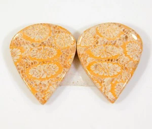 Par de piedras preciosas fosilizadas cabujón pera coral fósil natural 22 quilates DI = 10 - Imagen 1 de 8