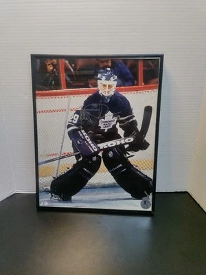 菲利克斯·波特文亲笔签名图片 - 16 x 11 带框 — 第 1/4 张图片