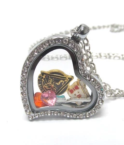 ORIGAMI-STYLE Dentist Tooth Toothbrush Floating Charm Heart Locket Necklace - Picture 1 of 1