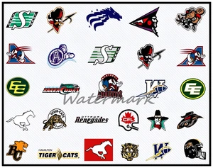 CFL 1994 EE. UU. equipo de expansión logotipo color 8 X 10 foto foto foto - Imagen 1 de 1