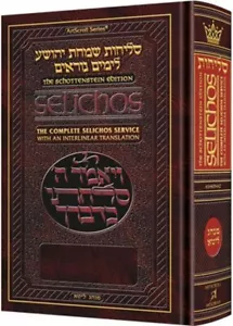 Artscroll Interlinear Selichos Hardcover Full Size Nusach Lita Ashkenaz - Picture 1 of 4
