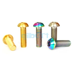 LOT2 M2 M2.5 8-20mm GR5 Golden Titanium Screws Dome Button Head Allen Model - Picture 1 of 2