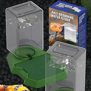 Reptile Water Feeder Reptile Water Dish Bowl Tortoise Turtle Water elegant - Picture 1 of 5
