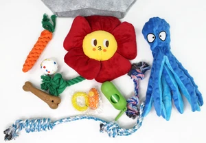 Squeaky Peluche Giocattolo per Cani Confezione da 10 per Cucciolo, Piccolo e Med. Giocattoli da masticare per cani - Foto 1 di 6