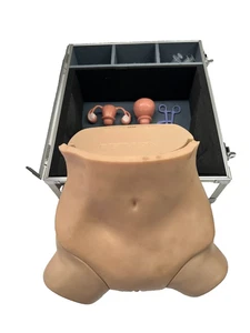 KOKEN LM-110 Gynecology Examination Simulator Clinical Training Model - Picture 1 of 6