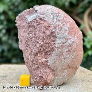 Theropod dinosaur egg fossil | hadrosaur ovaloolithus dinornithoides | genuine - Picture 1 of 2