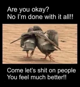 Funny pigeon refrigerator magnet 3 1/2x 4 1/2" - Picture 1 of 1