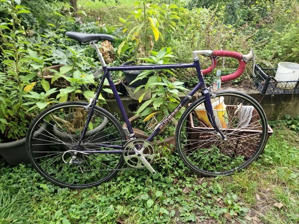 rennrad gebraucht 28 zoll Gudereit, blau,RH58,7fach,42/56 - Bild 1 von 1