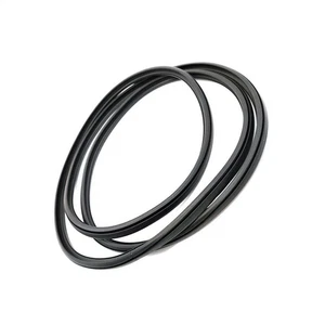 Fits 2015-2016 Acura TLX Sunroof Small Glass Seal - Picture 1 of 4