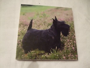 Carnet aimanté à feuilles - SCOTTISH TERRIER - Picture 1 of 1