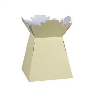 30 Transporter Box / Living Vase Glossy Ivory (2795) - Picture 1 of 1