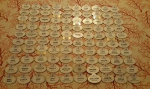 Disney pin WDW Where Dreams Come True Cast Member Name tag Badge ID Pick UR Name - Picture 1 of 4