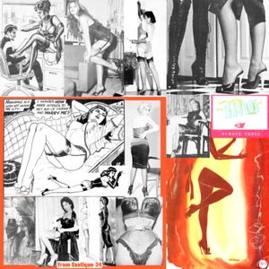Selbee Connoisseur 1 Masque 3 Gloves High Heels Bilbrew Corsets E-books on CD - Picture 1 of 2