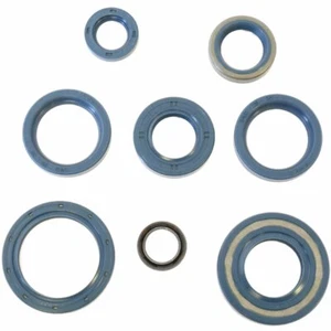 SERIE PARAOLIO ATHENA DUCATI 600 SL Pantah 1978-1989 - Foto 1 di 2