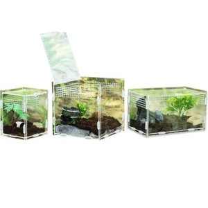 Acrylic Reptile Terrarium Climbing Pet Breeding Box Lizards Turtle Feeding Tank - Picture 1 of 15