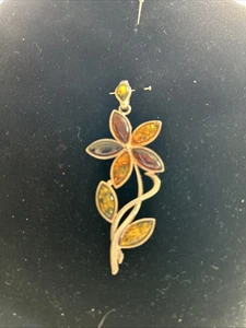 Amber Pendant - Picture 1 of 1