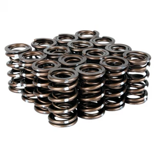Muelles de válvula Skunk2 VTEC Pro Series XP para serie B - 311-05-7350 - Imagen 1 de 1