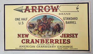 ADVERTISING Label Arrow Cranberries Native American Indian New Jersey - Picture 1 of 1