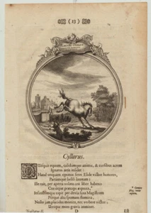 übermütiges PFERD Original Kupferstich um 1730 ausschlagen Galopp Reitsport - Bild 1 von 4