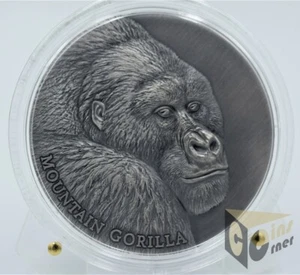 Cameroon 2021 Mountain Gorilla - Expressions of Wildlife 2 Oz Silver Antiqued - Picture 1 of 6