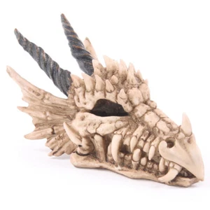 DRAGON SKULL MONEYBOX - Picture 1 of 3