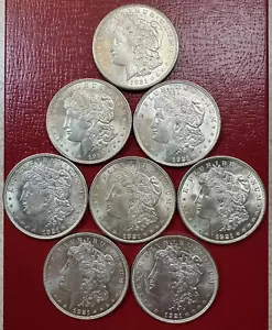 1921 P Morgan Silber Dollar Stempelglanz in Edelsteinqualität - Lot von 8 Münzen! - Bild 1 von 2