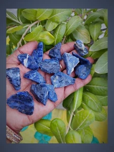 Pietre grezze sodalite blu ideale per migliorare l'intuizione e la comunicazione lotto di 5 pezzi - Foto 1 di 4