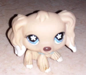 Petshop Katze Sphynx 1370 - Bild 1 von 1