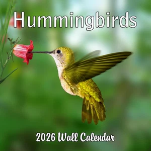 2026 Kolibris Monatlicher Wandkalender | 12" x 24" | Tiere Kalender 2025-2026 - Bild 1 von 12
