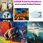 Large Paint By Numbers with Framed Canvas DIY Oil Acrylic Painting Kit Wall Art