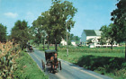 Postcard Amish Buggy Ephrata Pennsylvania NH1