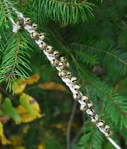 Indische Glöckchen Fuß Glöckchen Ghungroo Tanzglöckchen Messing Jingle Bells - Bild 1 von 12