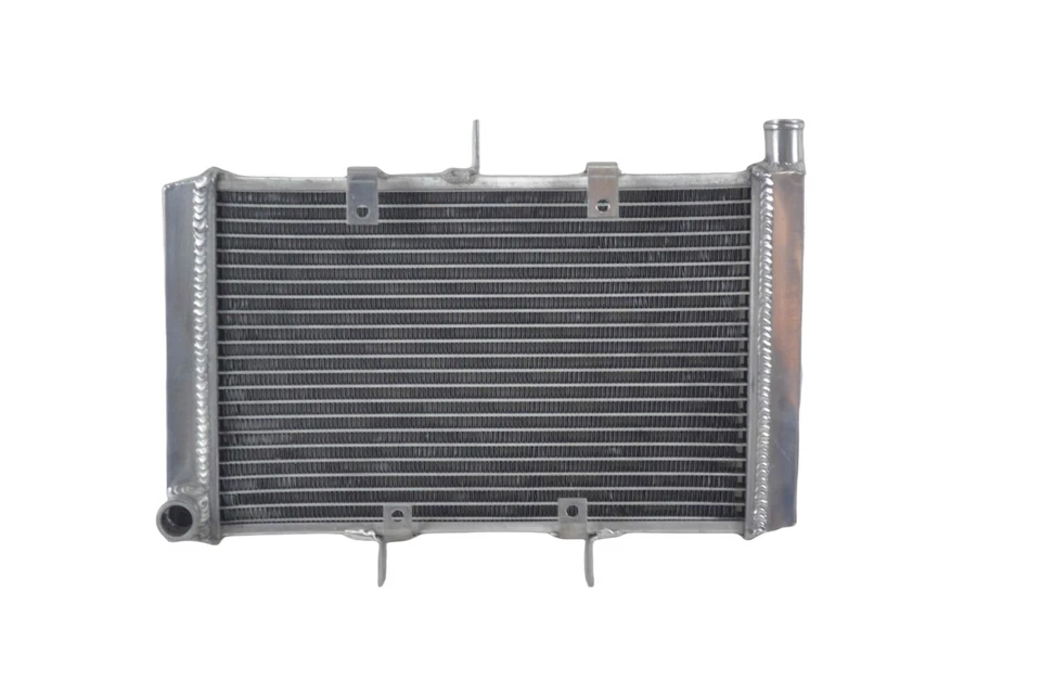 Radiador de aluminio para Honda CB1000R CB 1000 R ABS 2008-2016 2009 2011 2012 2013 Foto 1 de 4